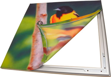 Fabric Stretch Frame 16mm