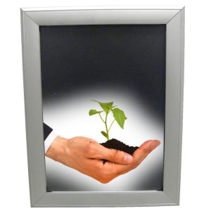 Shutter Frame 34mm