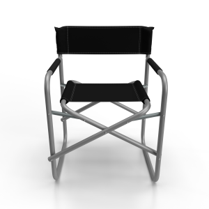 Director Chair