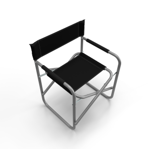 Director Chair