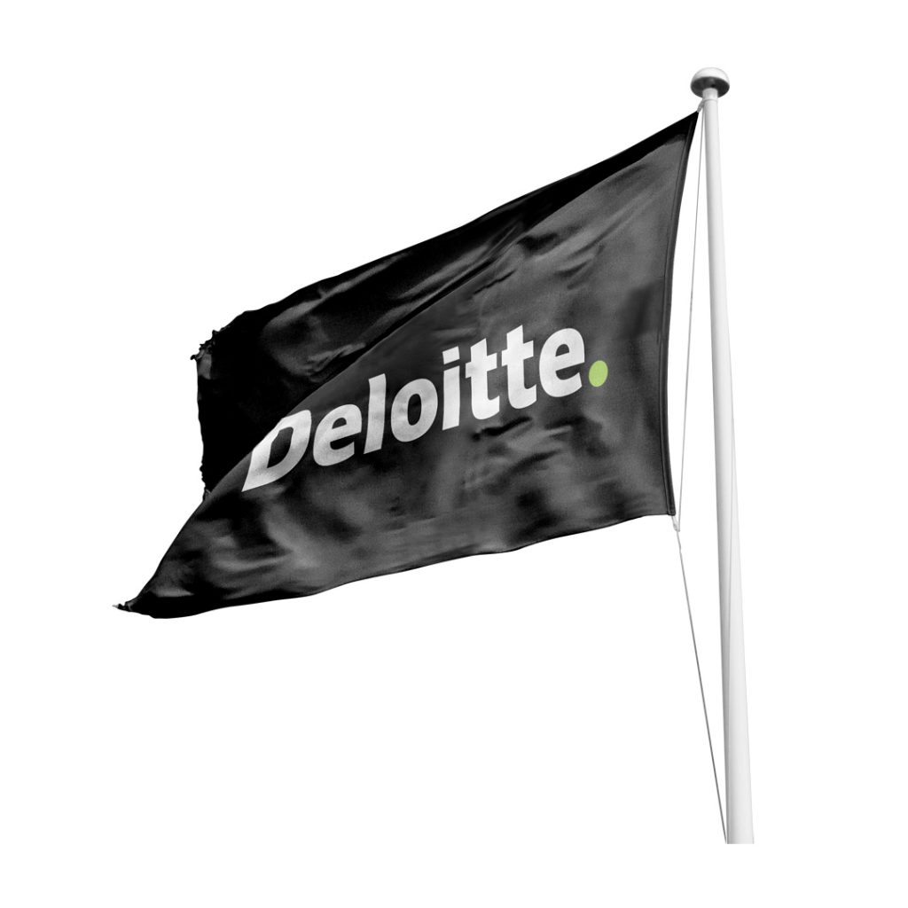 Flag with toggle and rope